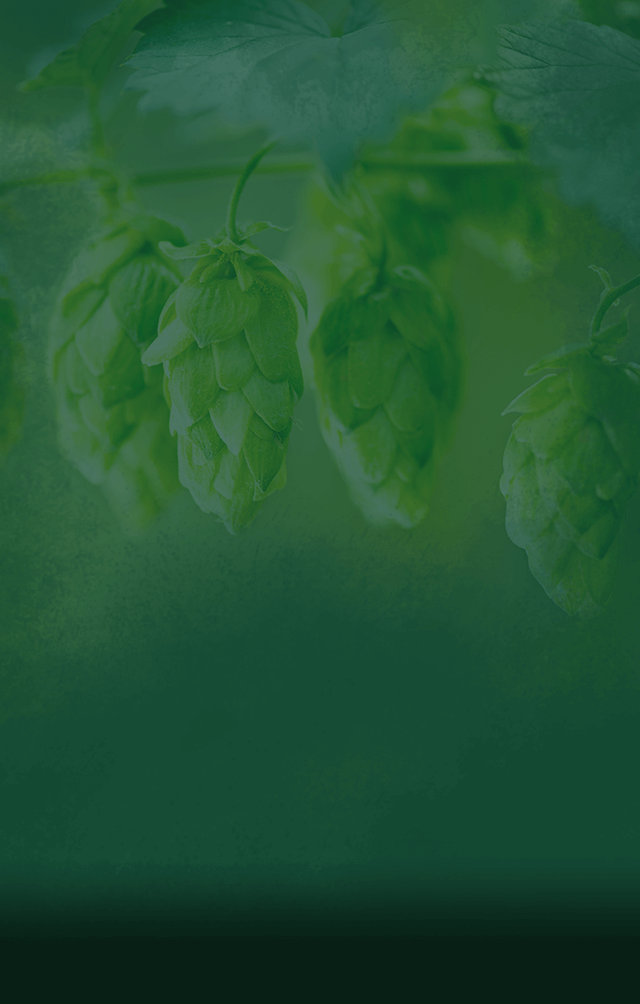 hops-bg