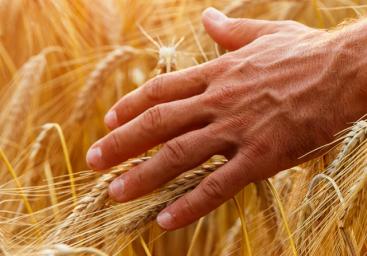 it-is-time-for-a-white-beer